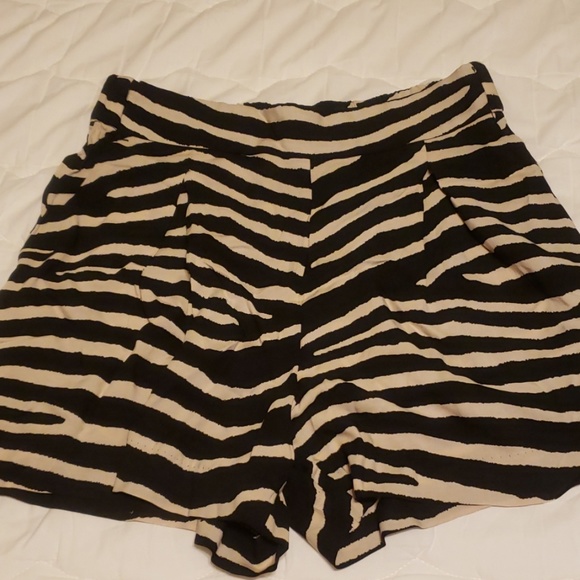 NWT zebra print shorts - Picture 1 of 2